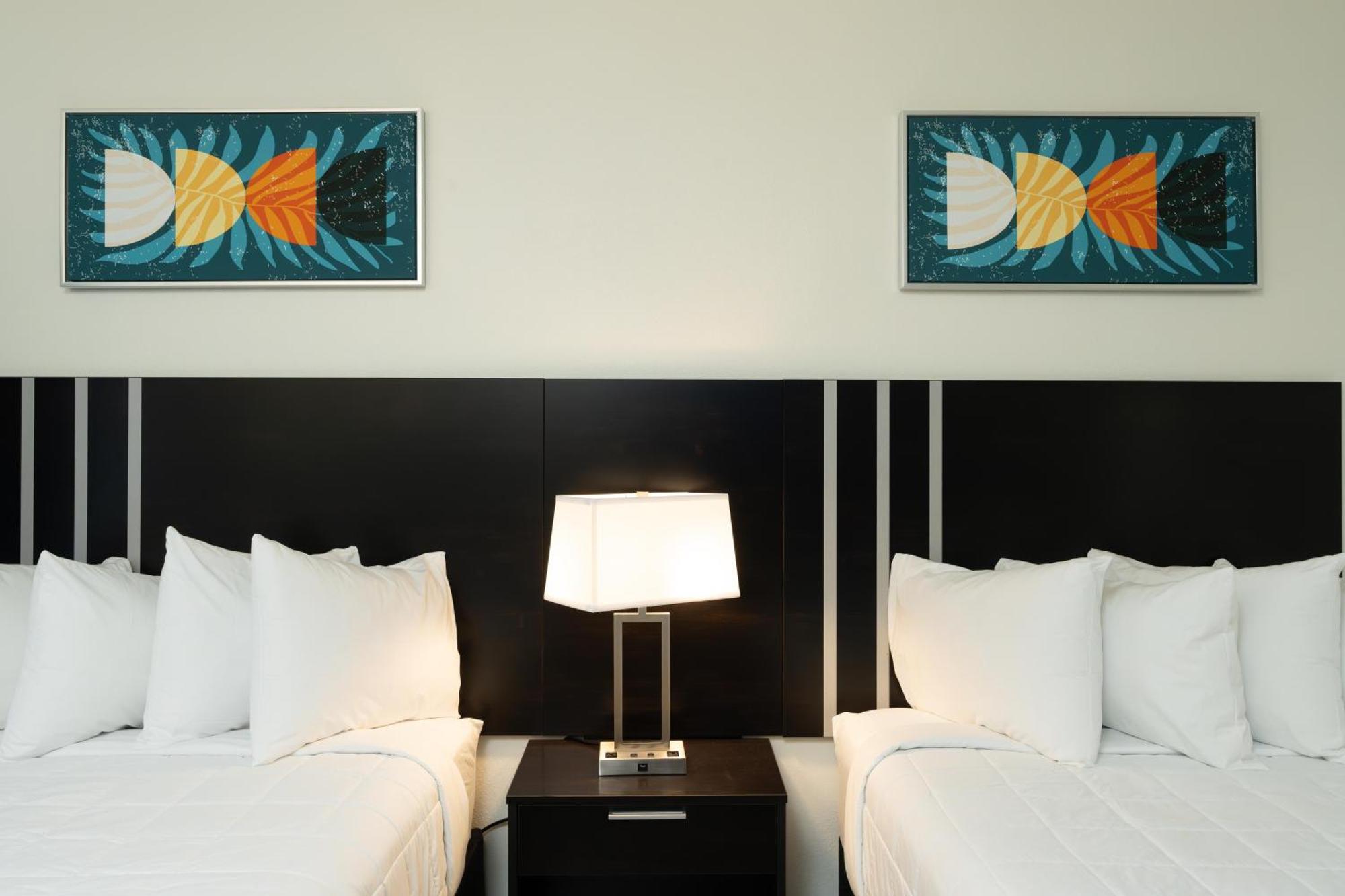 Oasis Bay Suites, Tampa, Busch Gardens, Usf ภายนอก รูปภาพ