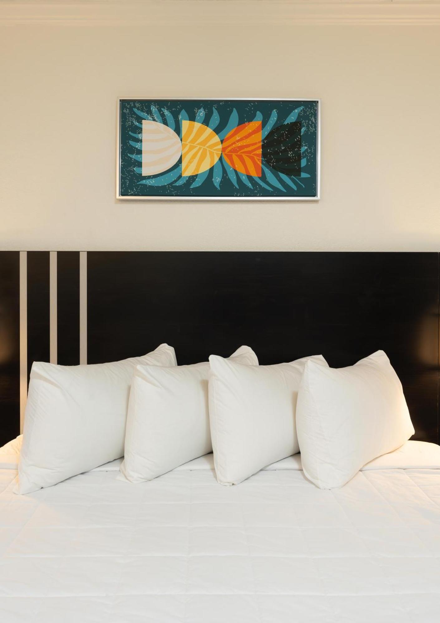 Oasis Bay Suites, Tampa, Busch Gardens, Usf ภายนอก รูปภาพ