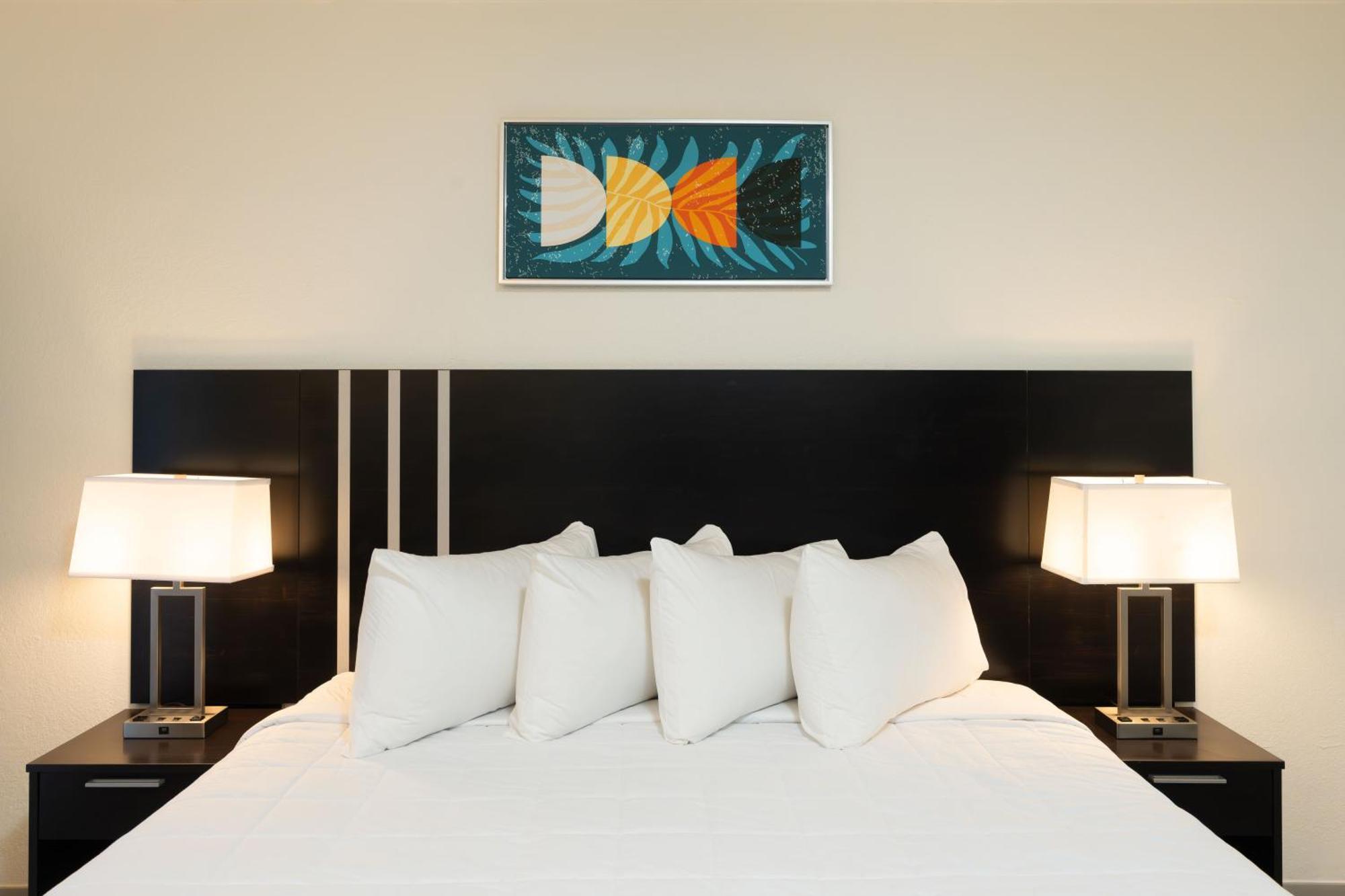 Oasis Bay Suites, Tampa, Busch Gardens, Usf ภายนอก รูปภาพ