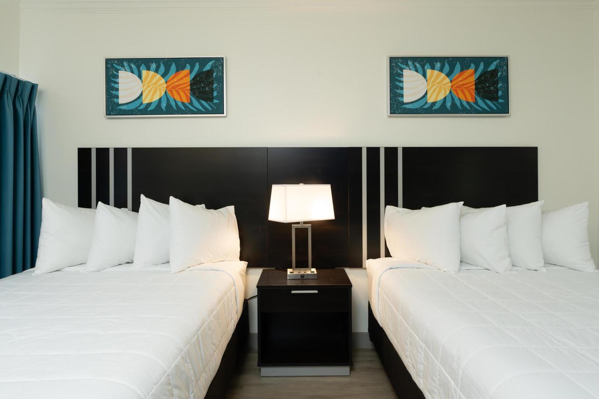 Oasis Bay Suites, Tampa, Busch Gardens, Usf ภายนอก รูปภาพ