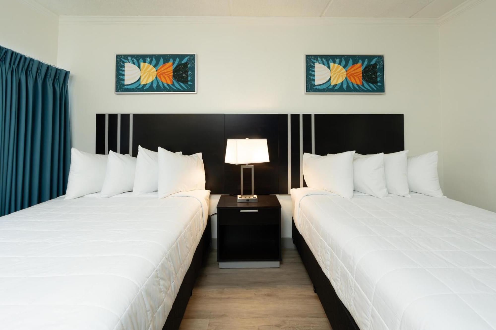 Oasis Bay Suites, Tampa, Busch Gardens, Usf ภายนอก รูปภาพ